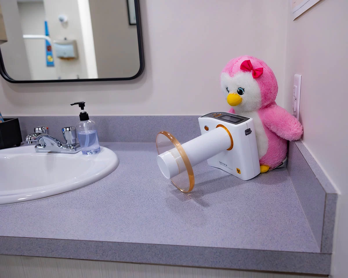 Camera and plush pink penguin on bathroom counter