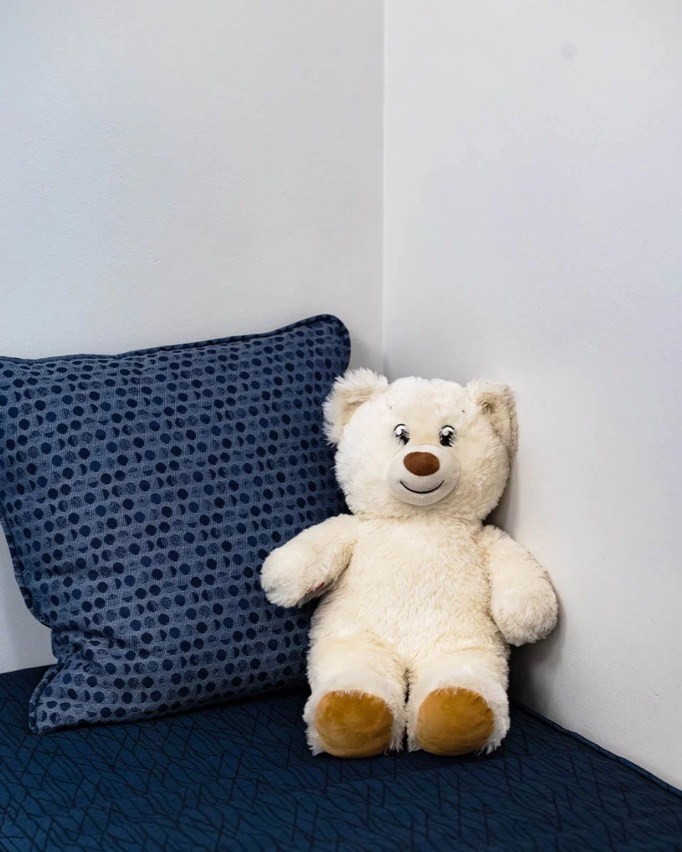 Teddy bear and pillow on a bench